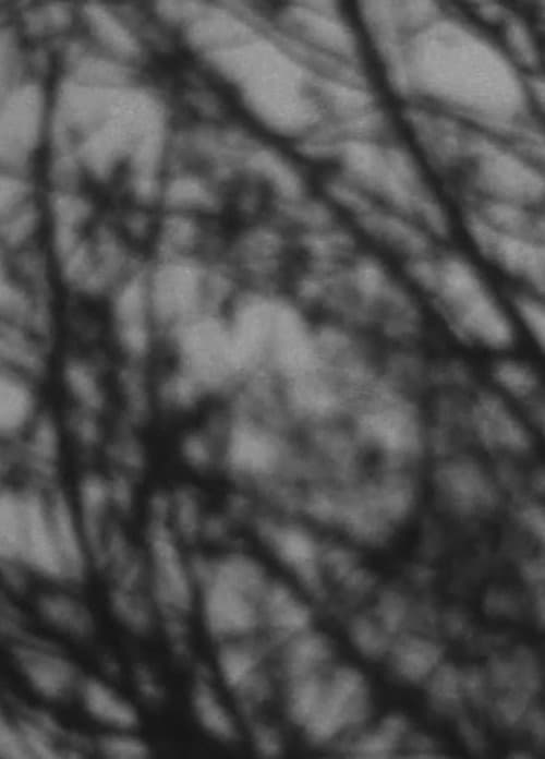 In a winter landscape (2013) poster