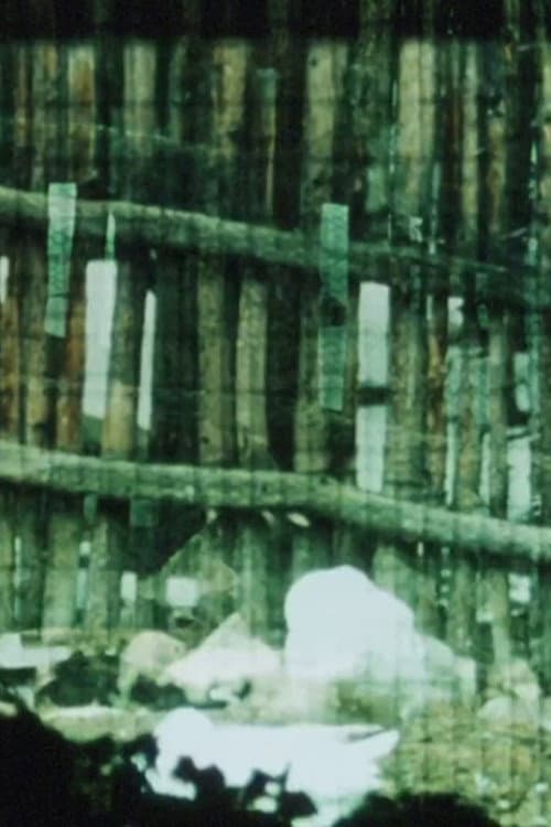 The Loom (1986) poster