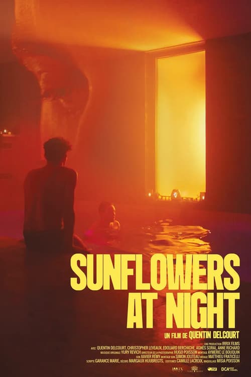 Sunflowers at Night (2024) poster