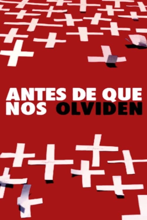 Antes de que nos olviden (2013) poster