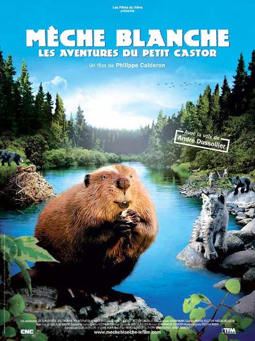 Mèche Blanche, les aventures du petit castor (2008) poster