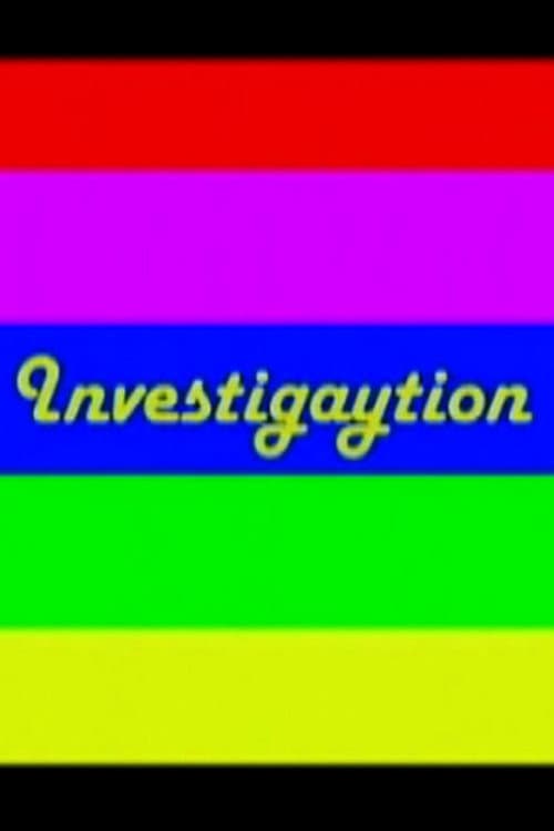 Investigaytion (2004) poster