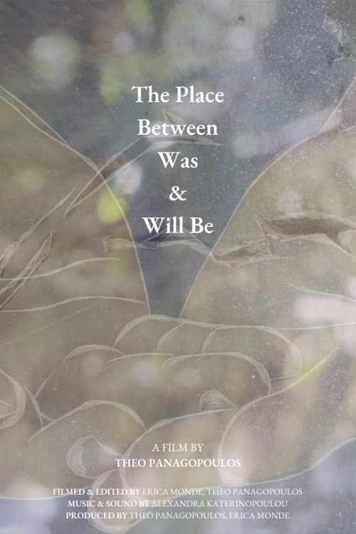 The Place Between Was & Will Be (2022) poster