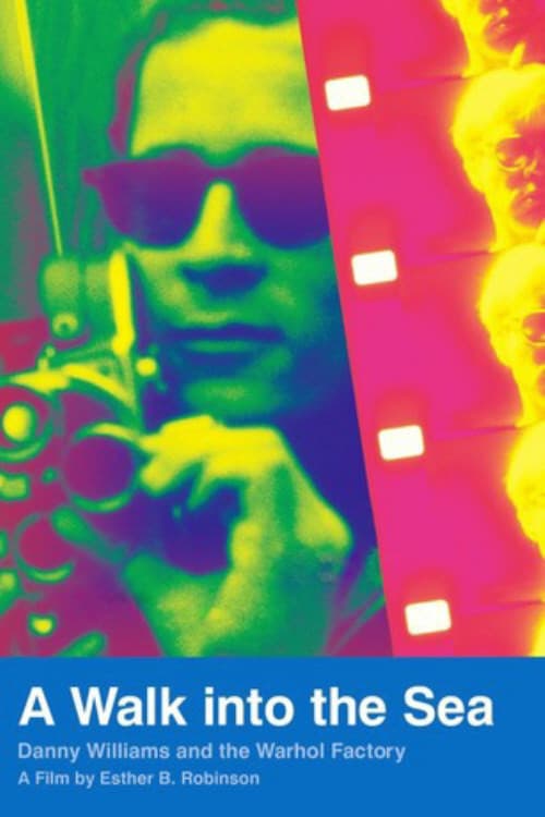 A Walk Into the Sea: Danny Williams and the Warhol Factory (2007) poster