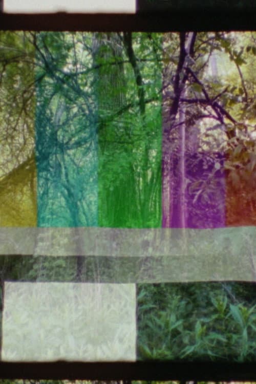 SMPTE FOREST (2023) poster