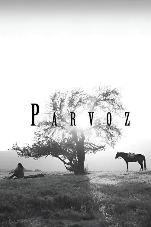 Parvoz (2023) poster