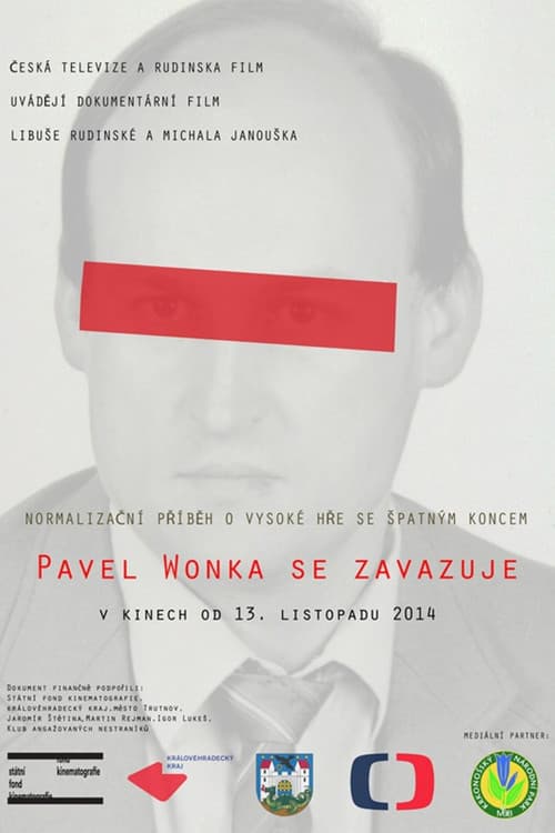 Pavel Wonka se zavazuje (2014) poster