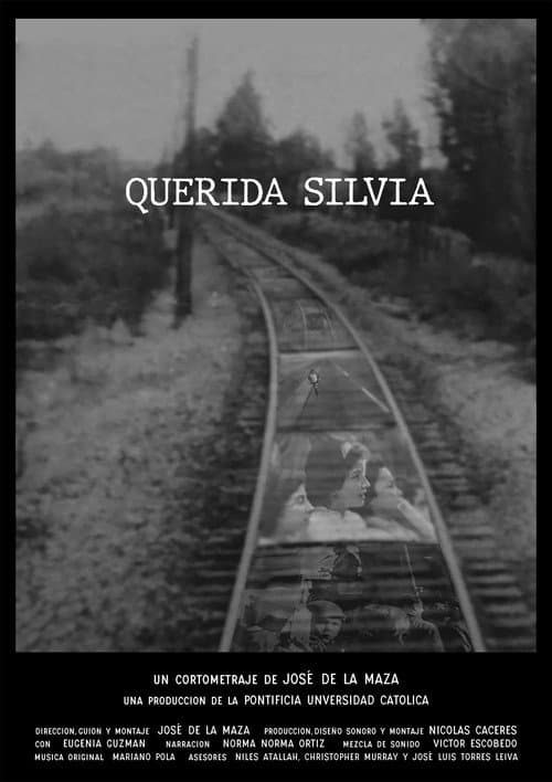 Querida Silvia (2021) poster