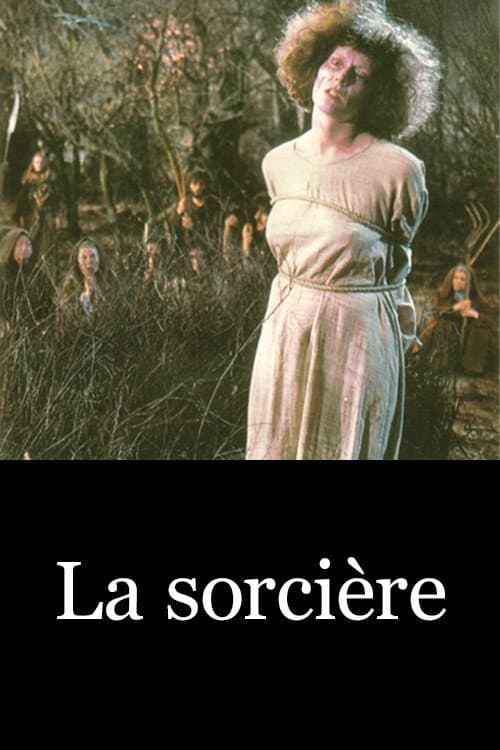 La Sorcière (1982) poster
