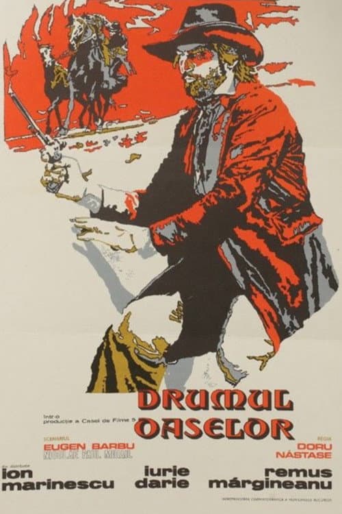 Drumul oaselor (1980) poster