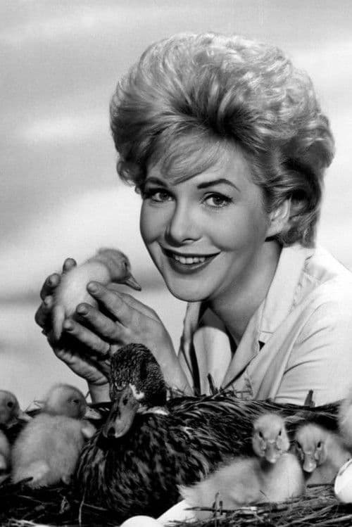 Jan Shepard foto