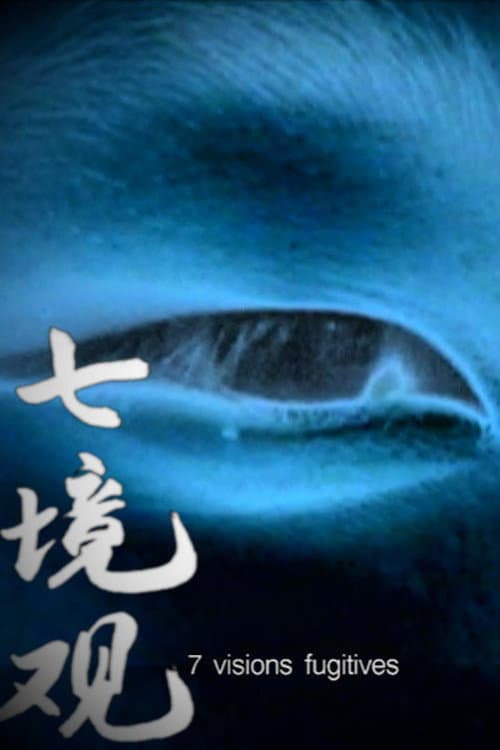 7 visions fugitives (1995) poster