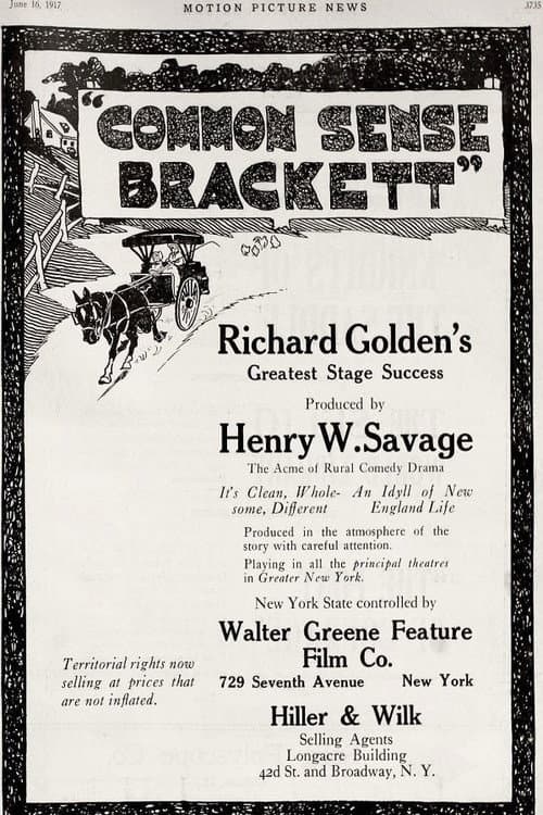Common Sense Brackett (1916) poster