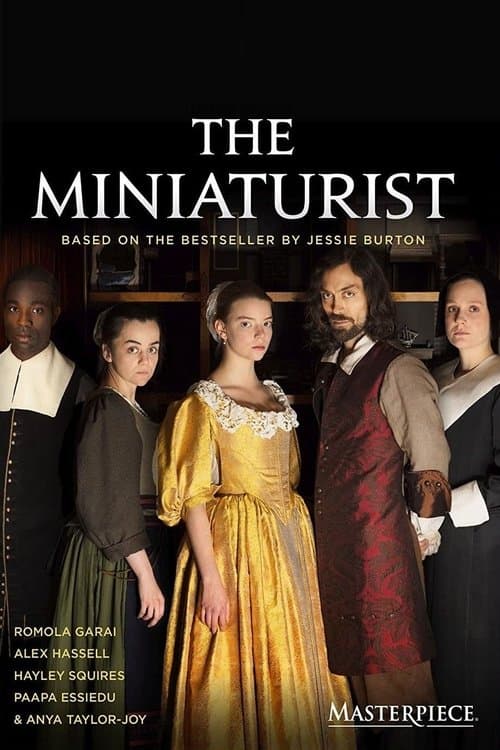 The Miniaturist (2017) poster