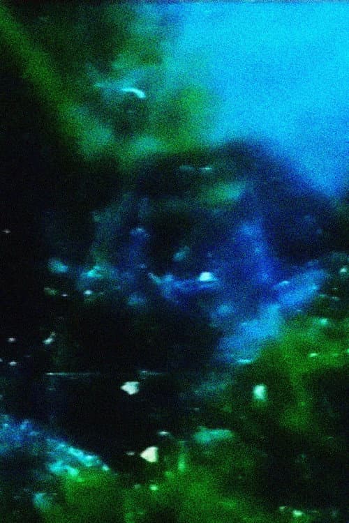 Earthen Aerie (1995) poster