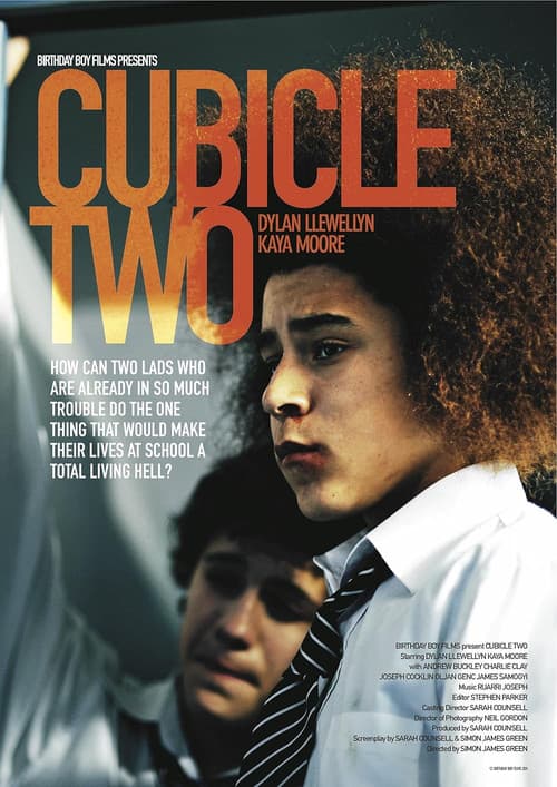 Cubicle Two (2010) poster