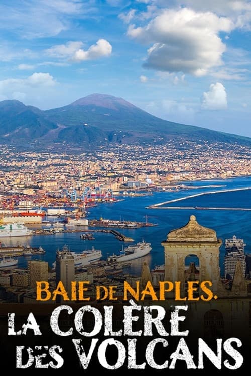 Baie de Naples, la colère des volcans (2020) poster