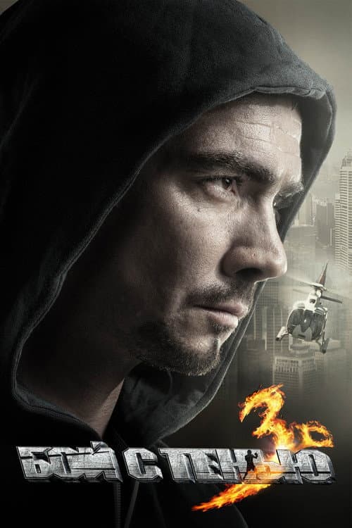 Бой с тенью 3: Последний раунд (2011) poster