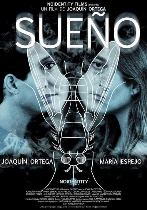 Sueño (2012) poster