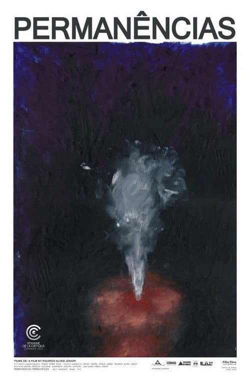 Permanencias (2011) poster