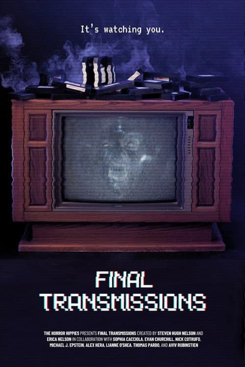 Final Transmissions (2026) poster