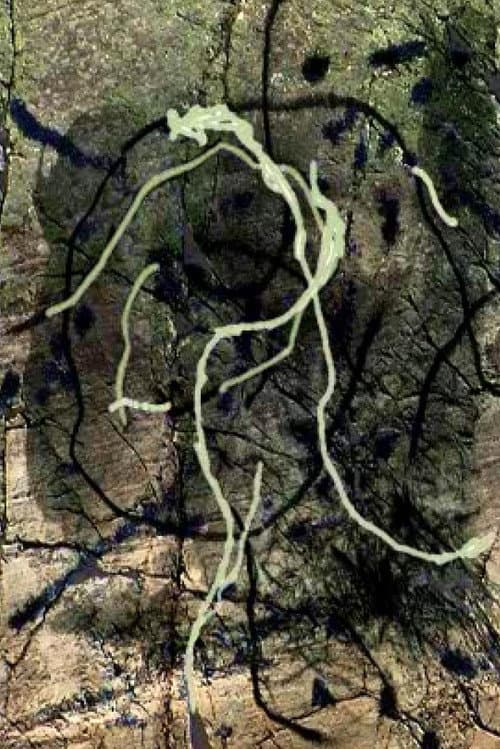 Rivière au tonnerre (2011) poster