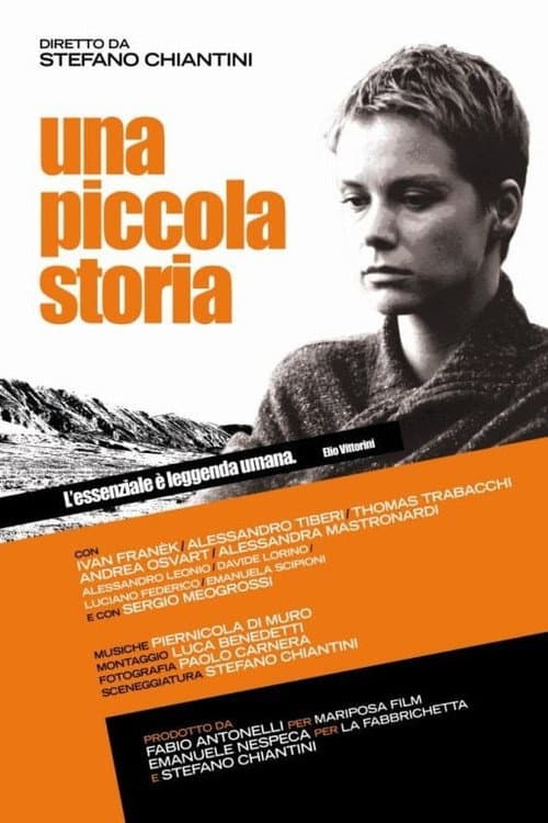 Una piccola storia (2008) poster