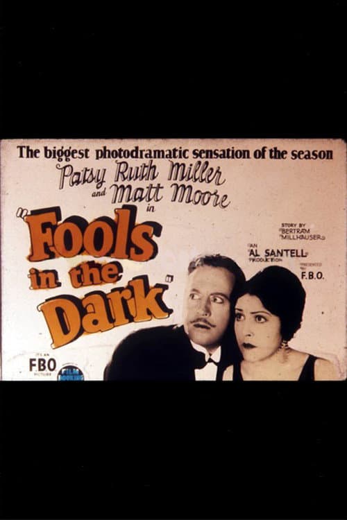 Fools in the Dark (1924) poster