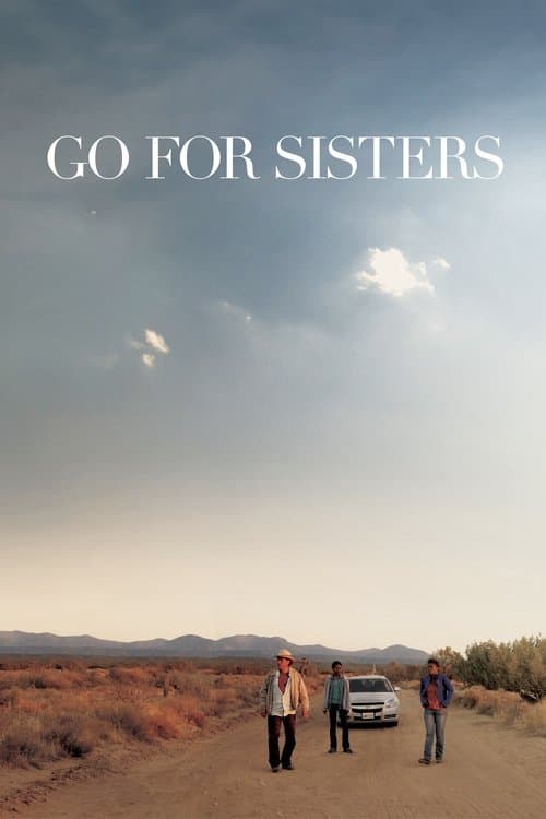 Go for Sisters (2013) poster