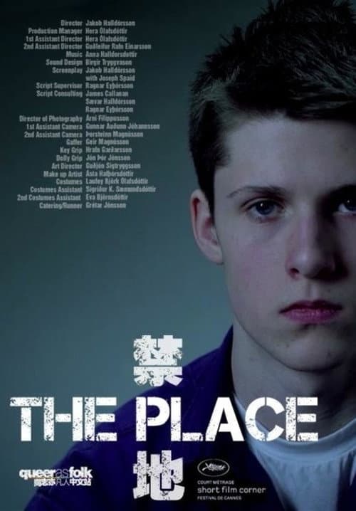 Pleisið (2009) poster
