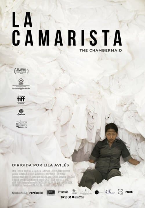 La Camarista (2019) poster