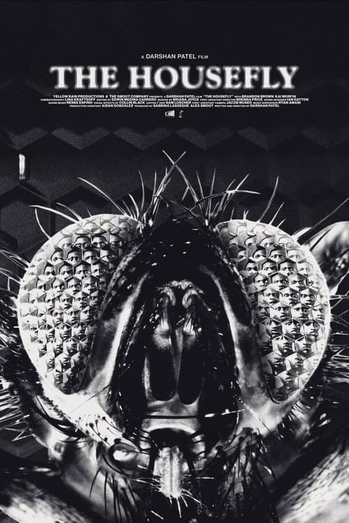 The Housefly (2023) poster