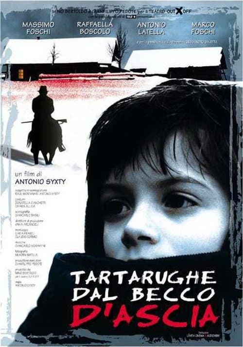 Tartarughe dal becco d'ascia (2000) poster