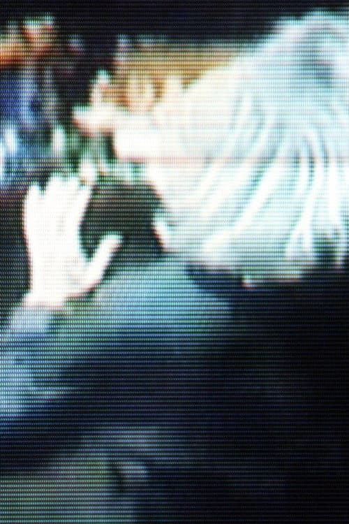 Assange Dancing (2012) poster