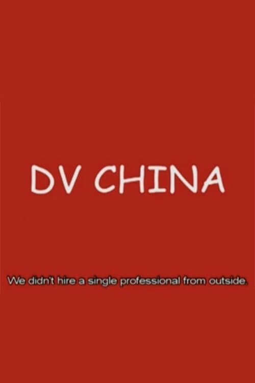 DV中国 (2002) poster