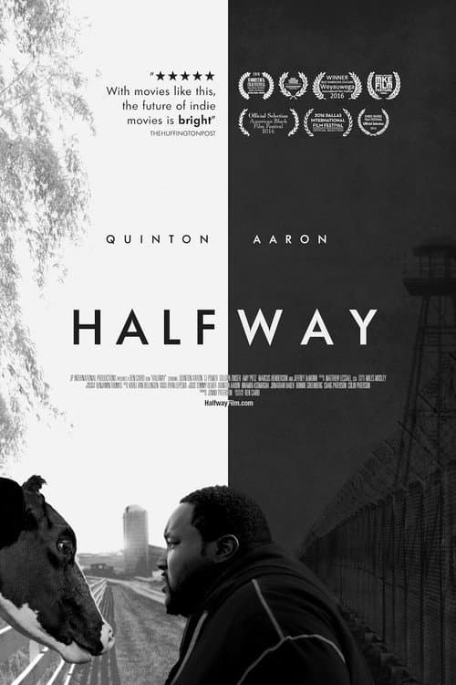 Halfway (2017) poster