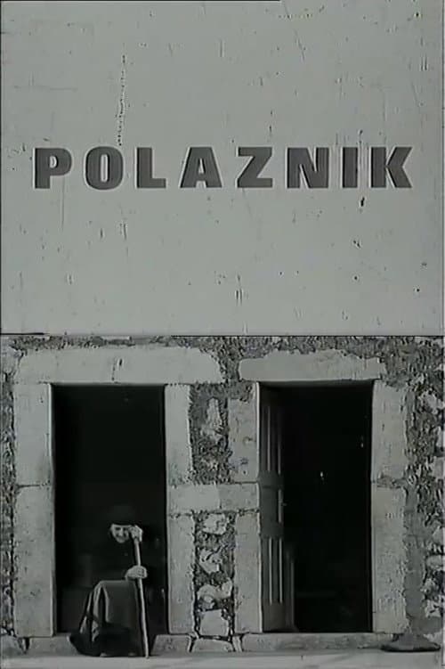 Polaznik (1973) poster