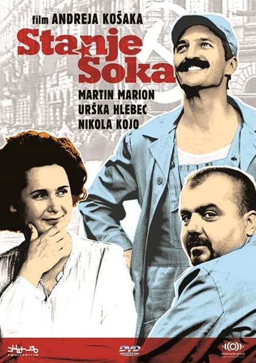 Stanje šoka (2011) poster