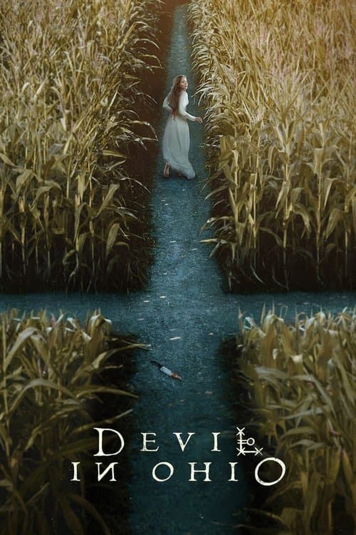 Devil in Ohio (2022) poster