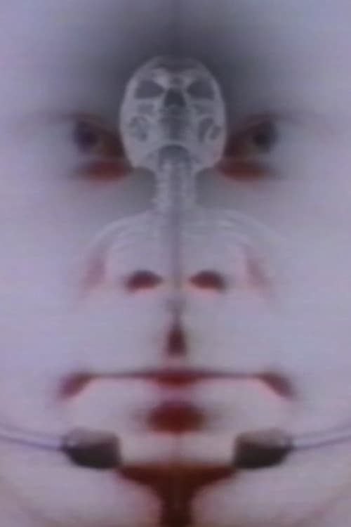 Deux Fois L'Univers (1993) poster