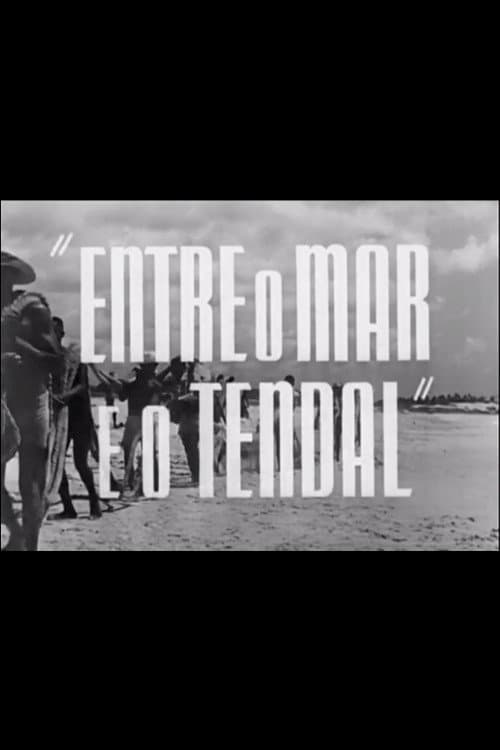 Entre o Mar e o Tendal (1953) poster