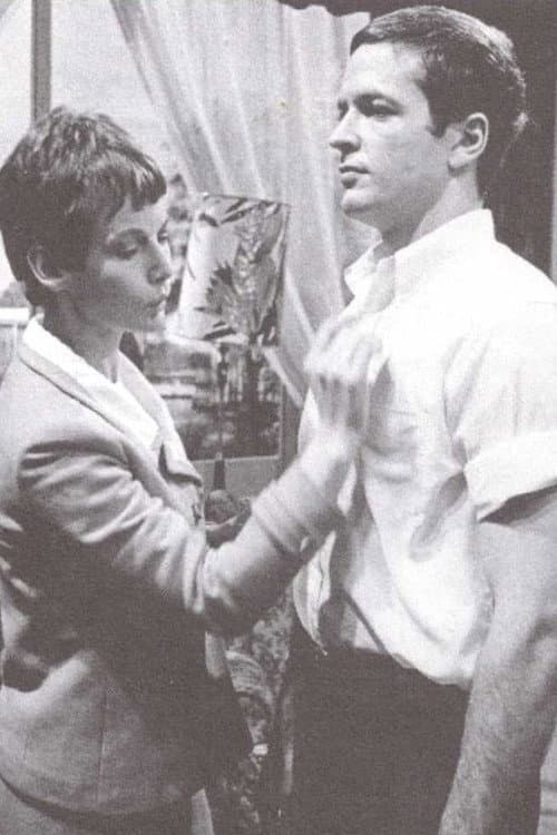 Satisfaction Guaranteed (1966) poster