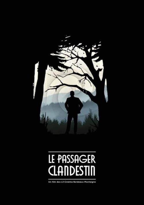 Le Passager Clandestin (2024) poster