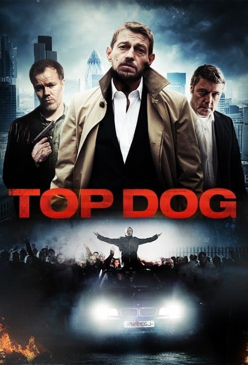 Top Dog (2014) poster