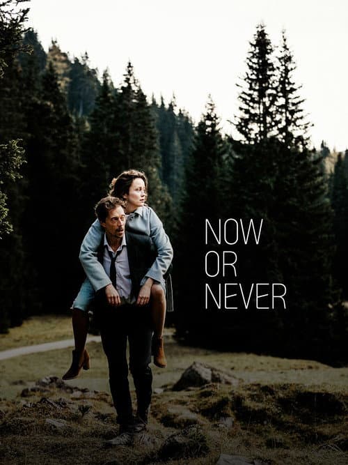 Now or Never (2019) poster