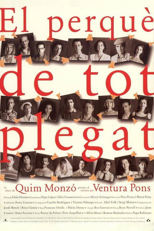 El perquè de tot plegat (1995) poster