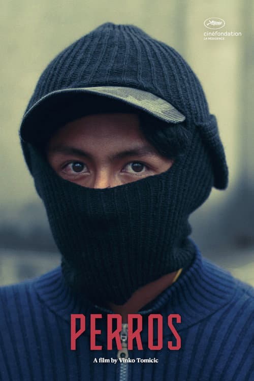 El Ladrón de Perros (2024) poster