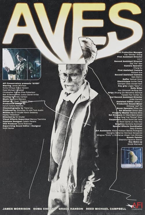 Aves (2023) poster