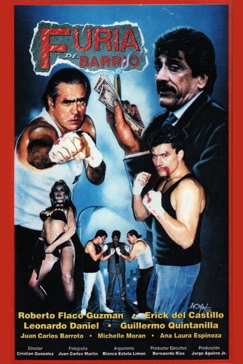 Furia de barrio (1993) poster