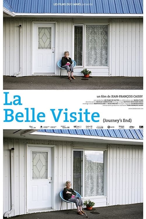 La Belle visite (2010) poster